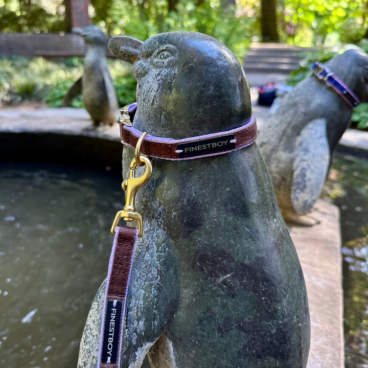Pinguin trägt FINESTBOY-Bundle aus Halsband und Leine, 15mm, fliederfarbenes Gurtband mit dunkelbraunem Canvas-Streifen und Vollmessing-Applikationen, vermessingter Metallsteckschnalle und Vollmessing-Karabiner, im Hamburger Stadtpark an einer Pinguin-Skulptur