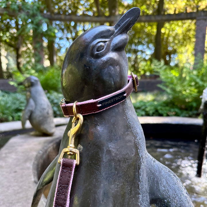 Pinguin trägt FINESTBOY-Bundle aus Halsband und Leine, 15mm, rosafarbenes Gurtband mit dunkelbraunem Canvas-Streifen und Vollmessing-Applikationen, vermessingter Metallsteckschnalle und Vollmessing-Karabiner, im Hamburger Stadtpark an einer Pinguin-Skulptur