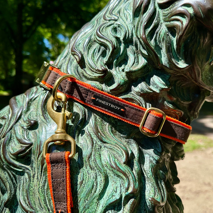 Hund trägt FINESTBOY-Bundle aus Halsband und Leine, 25mm, orangenes Gurtband mit dunkelbraunem Canvas-Streifen und Vollmessing-Applikationen, vermessingter Metallsteckschnalle und Vollmessing-Karabiner, im Hamburger Stadtpark an einer Hundeskulptur