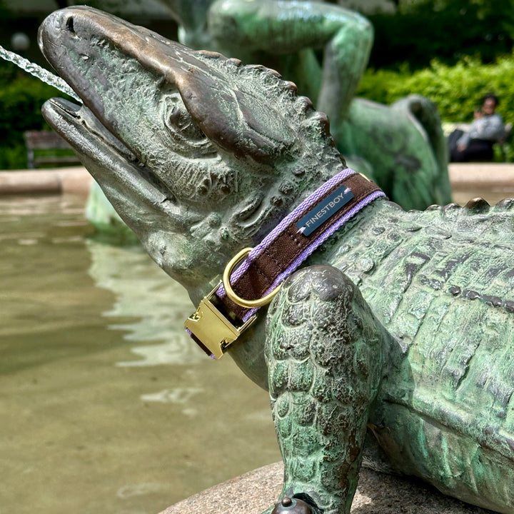 Echse trägt FINESTBOY-Halsband, 25mm, fliederfarbenes Gurtband mit dunkelbraunem Canvas-Streifen und Vollmessing-Applikationen und vermessingter Metallsteckschnalle, in Hamburg Altona an einer Echsen-Skulptur