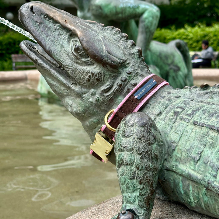 Hund trägt FINESTBOY-Halsband, 25mm, rosafarbenes Gurtband mit dunkelbraunem Canvas-Streifen und Vollmessing-Applikationen und vermessingter Metallsteckschnalle, in Hamburg Altona an einer Echsen-Skulptur