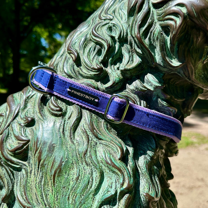 Hund trägt FINESTBOY-Halsband, 25mm, fliederfarbenes Gurtband mit royalblauem Canvas-Streifen und verchromten Vollmessing-Applikationen und verchromter Metallsteckschnalle, Nahaufnahme im Hamburger Stadtpark an einer Hundeskulptur