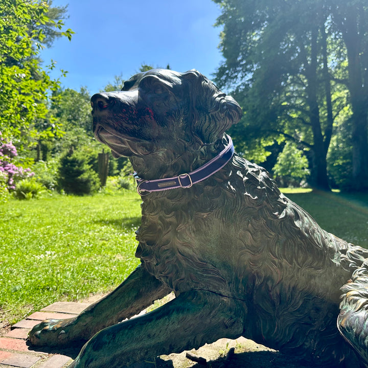 Hund trägt FINESTBOY-Halsband, 25mm, fliederfarbenes Gurtband mit royalblauem Canvas-Streifen und verchromten Vollmessing-Applikationen und verchromter Metallsteckschnalle, Frontalaufnahme im Hamburger Stadtpark an einer Hundeskulptur