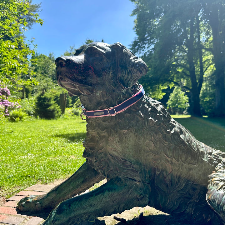 Hund trägt FINESTBOY-Halsband, 25mm, rosafarbenes Gurtband mit royalblauem Canvas-Streifen und verchromten Vollmessing-Applikationen und verchromter Metallsteckschnalle, Frontalaufnahme im Hamburger Stadtpark an einer Hundeskulptur